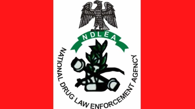 NDLEA NDLEA Shortlisted Candidates