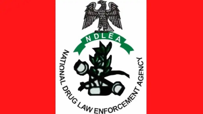 NDLEA NDLEA Shortlisted Candidates