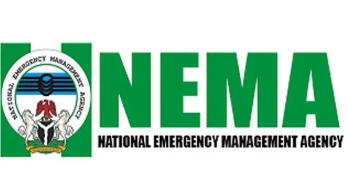 NEMA-1 NEMA shortlisted candidates
