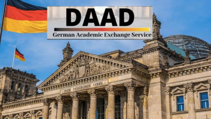 daad scholarship